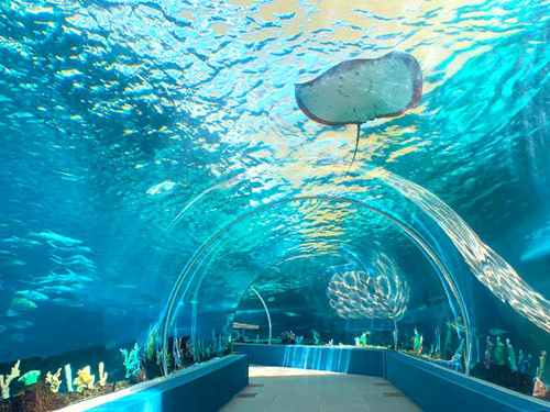 海洋公園
