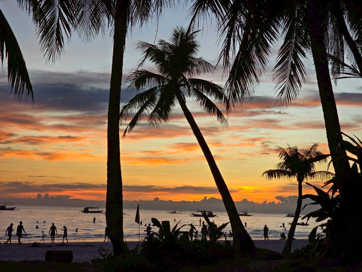 椰林與夕陽海景