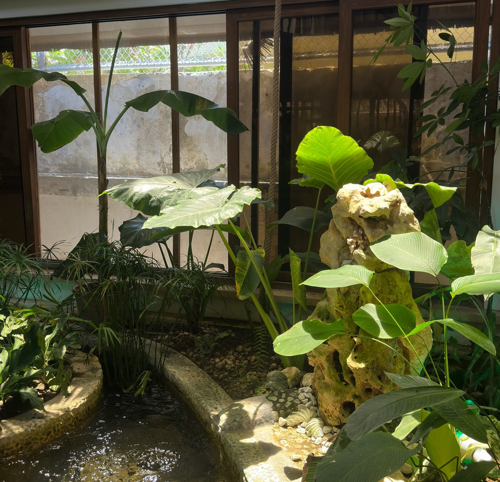 Smooth Cafe at Attic 熱帶植栽與流水造景