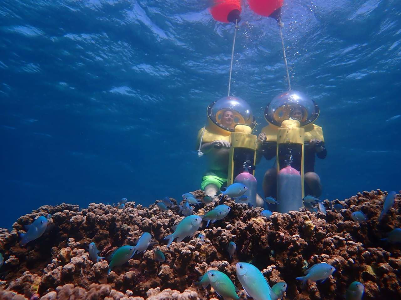 「長灘島 潛水」的圖片搜尋結果